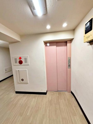 �����s�V�h�捂�c�n��2���ڂ̒��Ã}���V�����̃G���g�����X