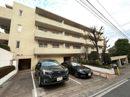 �����s�V�h�撆����2���ڂ̒��Ã}���V�����̉摜