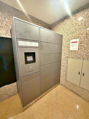 �����s�V�h�搼�V�h4���ڂ̒��Ã}���V�����̃G���g�����X