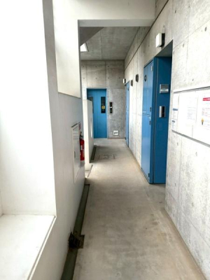 �����s�����V��1���ڂ̒��Ã}���V�����̂��̑����p��