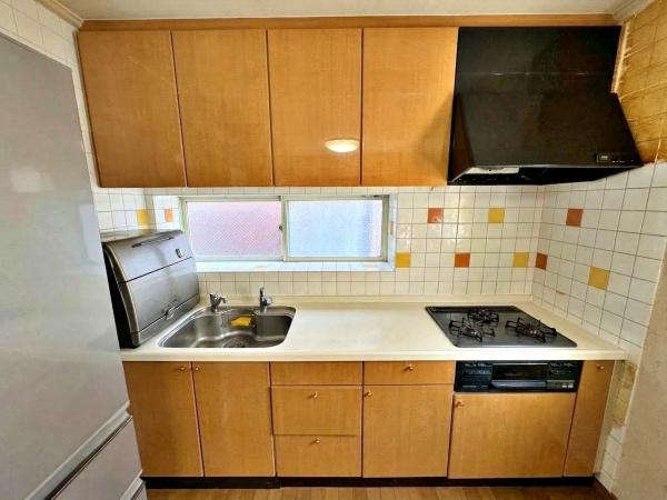 �����s�����s���n��3���ڂ̒��È�ˌ��ẴL�b�`��