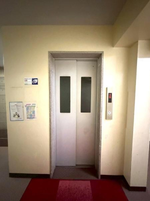 �����s�V�h���\�R���̒��Ã}���V�����̂��̑����p��