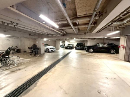 �����s�V�h��쒬�̒��Ã}���V�����̉摜