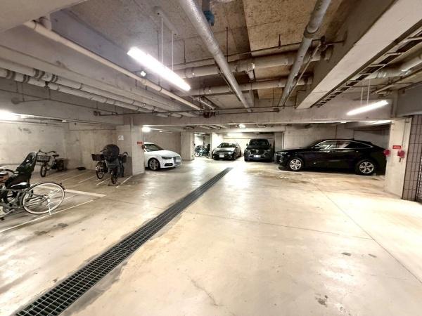 �����s�V�h��쒬�̒��Ã}���V�����̉摜