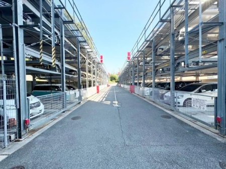 �����s�����q�s���c���̒��Ã}���V�����̉摜