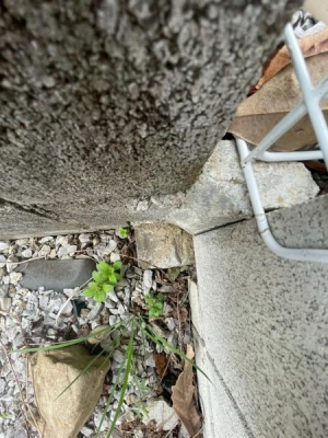 �����s�����q�s���쒬�̓y�n�̂��̑����n