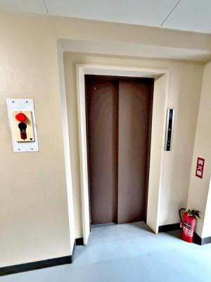 �����s�V�h��R�����̒��Ã}���V�����̃G���g�����X