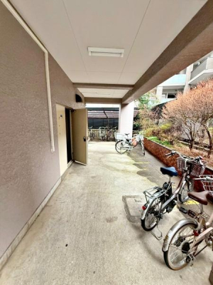 �����s�V�h��R�����̒��Ã}���V�����̉摜