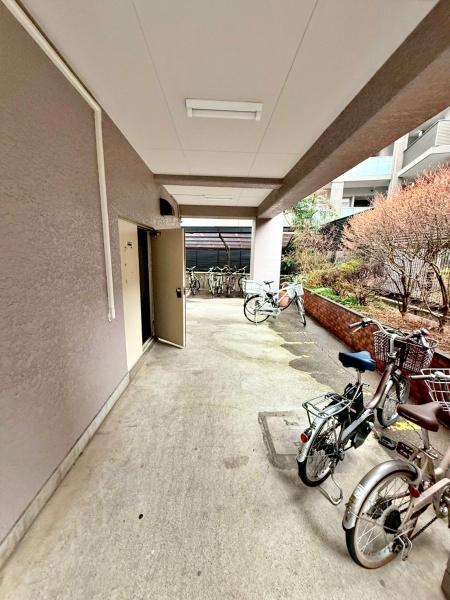 �����s�V�h��R�����̒��Ã}���V�����̉摜