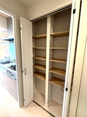 �����s�V�h�搼�V�h4���ڂ̒��Ã}���V�����̎��[