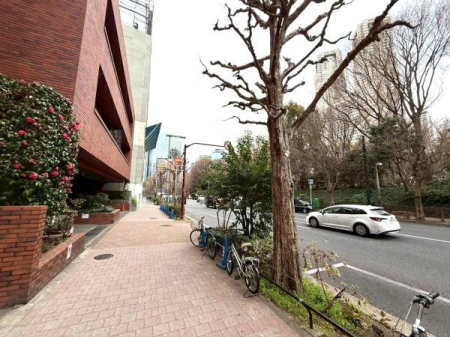 �����s�V�h�搼�V�h4���ڂ̒��Ã}���V�����̂��̑����n