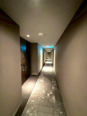 �����s�V�h��l�J4���ڂ̒��Ã}���V�����̂��̑����p��