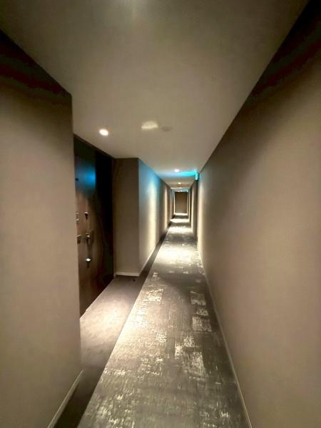 �����s�V�h��l�J4���ڂ̒��Ã}���V�����̂��̑����p��