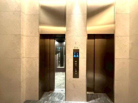 �����s�V�h��l�J4���ڂ̒��Ã}���V�����̂��̑����p��