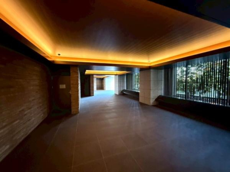 �����s�V�h���v��3���ڂ̒��Ã}���V�����̃G���g�����X