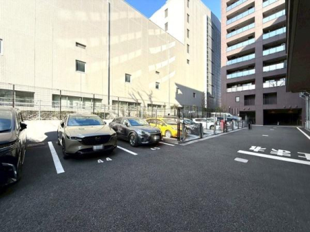 �����s�V�h���v��3���ڂ̒��Ã}���V�����̉摜