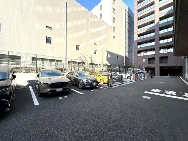 �����s�V�h���v��3���ڂ̒��Ã}���V�����̉摜