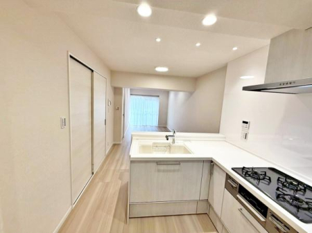 �����s���c�J�扜��1���ڂ̒��Ã}���V�����̃L�b�`��