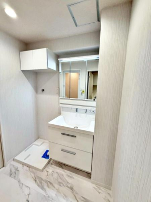 �����s���c�J�扜��1���ڂ̒��Ã}���V�����̐��ʑ�E���ʏ�