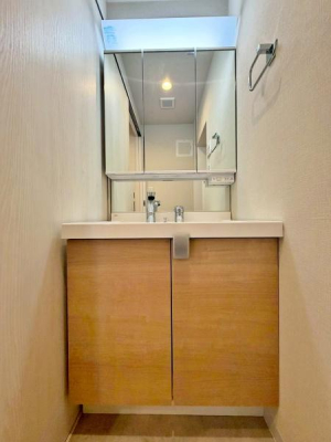 �����s�V�h��R�����̒��Ã}���V�����̐��ʑ�E���ʏ�