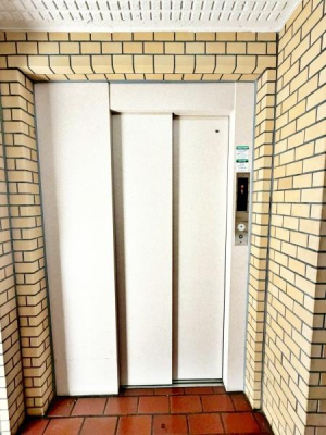 �����s�����퐶��1���ڂ̒��Ã}���V�����̂��̑����p��