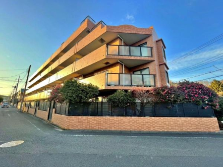 �����s�����q�s�z��̒��Ã}���V�����̌��n�O�ώʐ^