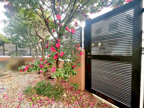 �����s�����q�s�z��̒��Ã}���V�����̒�