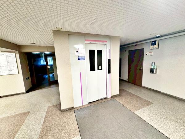 �����s�����q�s�q����1���ڂ̒��Ã}���V�����̂��̑����p��