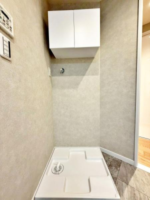 �����s�V�h��Z�g���̒��Ã}���V�����̐��ʑ�E���ʏ�