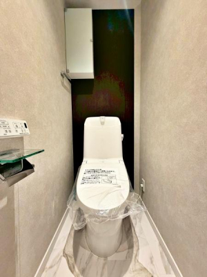 �����s�V�h��Z�g���̒��Ã}���V�����̃g�C��