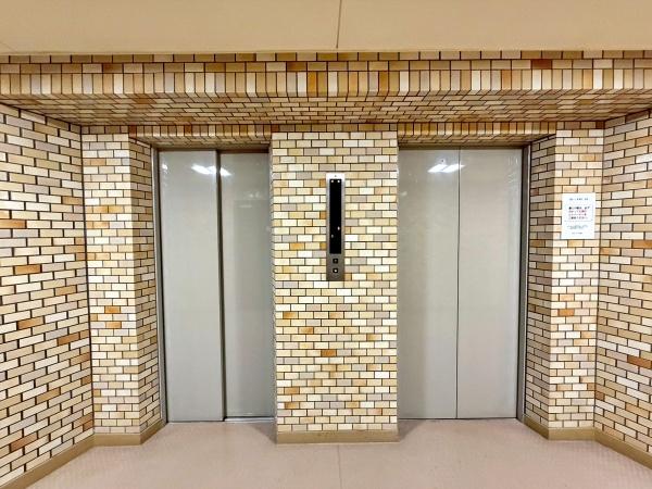 �����s�V�h��Z�g���̒��Ã}���V�����̂��̑����p��