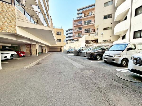 �����s�V�h��Z�g���̒��Ã}���V�����̉摜