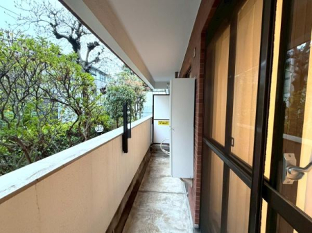 �����s���c�J�扜��6���ڂ̒��Ã}���V�����̃o���R�j�[