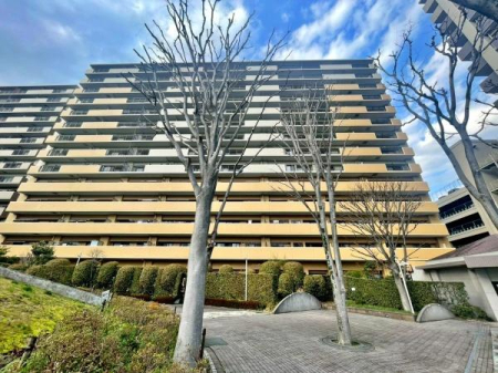 �����s�����q�s���Ԓ��̒��Ã}���V�����̌��n�O�ώʐ^