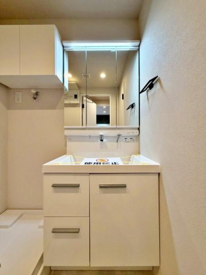 �����s���n�����3���ڂ̒��Ã}���V�����̐��ʑ�E���ʏ�