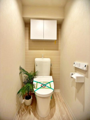 �����s�V�h�扺����1���ڂ̒��Ã}���V�����̃g�C��