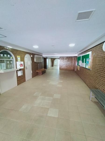 �����s�����q�s���c���̒��Ã}���V�����̃G���g�����X