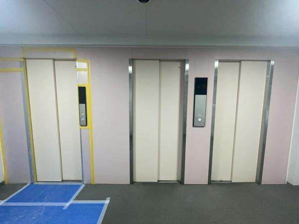 �����s�����q�s���c���̒��Ã}���V�����̂��̑����p��