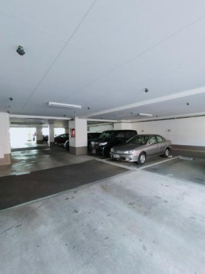 �����s�����q�s���c���̒��Ã}���V�����̉摜