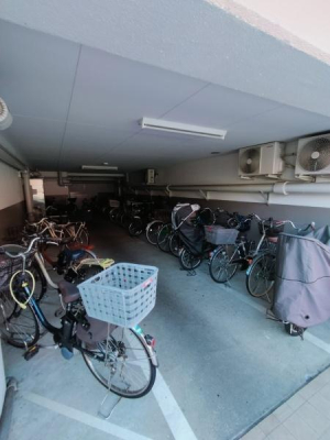 �����s�����q�s���c���̒��Ã}���V�����̂��̑����p��