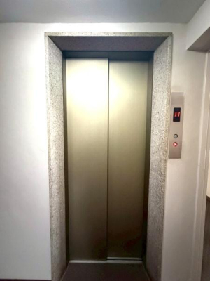 �����s���c�J���k��4���ڂ̒��Ã}���V�����̂��̑����p��