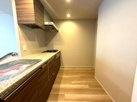 �����s���c�J�攔�J2���ڂ̒��Ã}���V�����̃L�b�`��