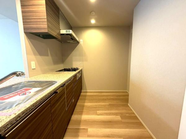 �����s���c�J�攔�J2���ڂ̒��Ã}���V�����̃L�b�`��