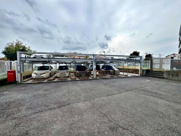 �����s�����q�s���c���̒��Ã}���V�����̉摜