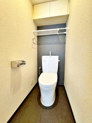 �����s�����q�s���c���̒��Ã}���V�����̃g�C��