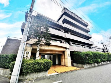 �����s�����q�s���q���̒��Ã}���V�����̌��n�O�ώʐ^