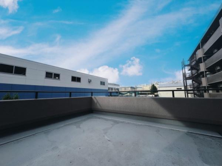 �����s�����q�s���q���̒��Ã}���V�����̃o���R�j�[