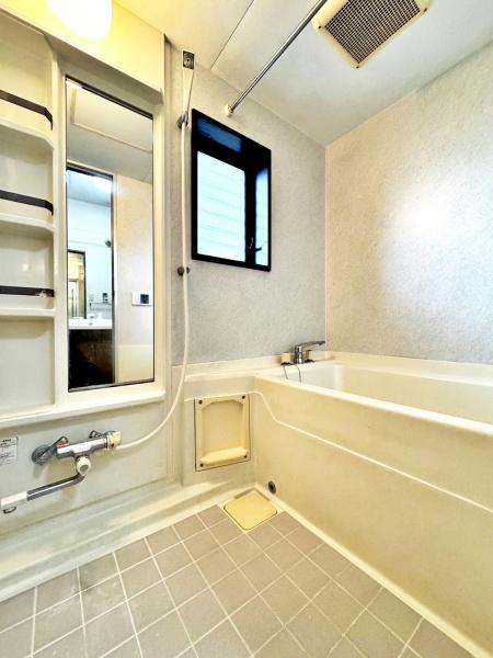 �����s�����q�s���q���̒��Ã}���V�����̗���