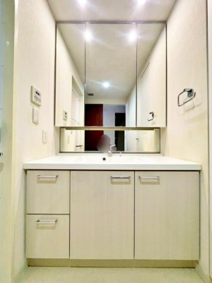 �����s�����q�s����쒬�̒��Ã}���V�����̐��ʑ�E���ʏ�