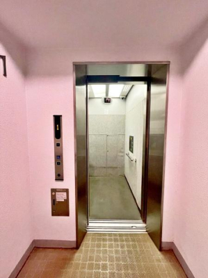 �����s�����q�s����쒬�̒��Ã}���V�����̂��̑����p��